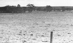 Unit 93 image c