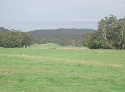 Unit 94 image b