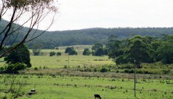 Unit 94 image c