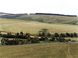 Unit 95 image b