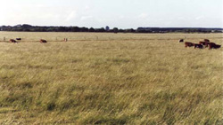 Unit 95 image c