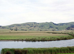 Unit 96 image b