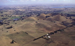 Unit 98 image a