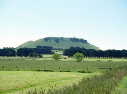 Unit 98 image b