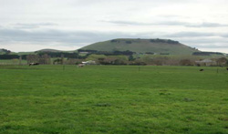 Unit 98 image c