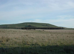 Unit 99 image b
