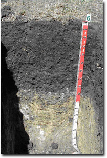 Image: Black Vertosol Bellarine Peninsula