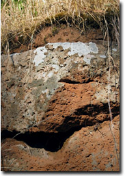 Photo: Stony Rise Profile