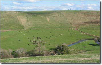 Photo:  Curdies Valley near Cobden