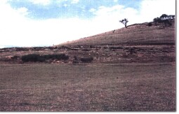 Image: Eruption Point