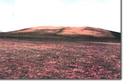 Images: Eruption Point