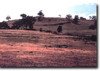 Image: Eruption Point