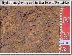 Photo: Hydration, gleying & further loss of Fe oxides