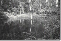 lake_elizabeth