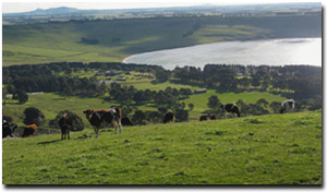 Photo: Lake Gnotuk near Camperdown