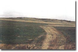 Image: Eruption Point, Larundel