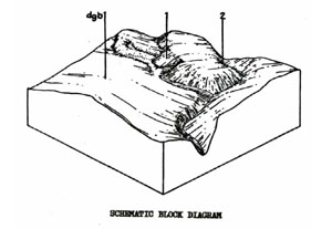 Land Capability Study - Ballan - Land Unit - Devonian Granite - Steep - Dgt