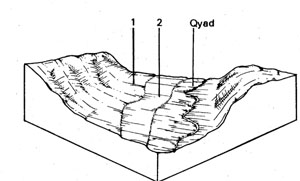 Higher Terraces with Duplex Soils on Quaternary and Ordovician Sediments - Qau