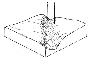 Steep-sided Valley with Duplex Soils on Quaternary - Qbb