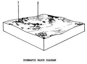 Stony Rises with Gradational Soils on Quaternary Basalt drier than Qbs - Qbsd