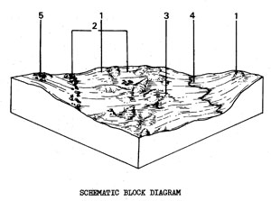 Valley floor with Uniform and Duplex Soils on Mixed Parent Materials - Qsm