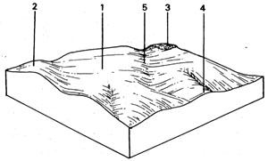 Plains with Duplex Soils on Tertiary Sediments drier than Tgn - Tgnd