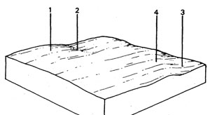Plains with Duplex Soils on Tertiary Sediments - South of Maude - Tgs