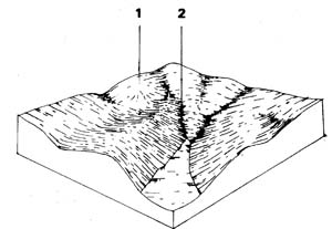 Quaternary basalt - red gradational soil