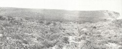 A Study of land in the catchments of the Otway Range and adjacent plains - anglesea