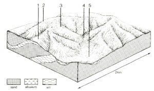 A Study of land in the catchments of the Otway Range and adjacent plains - bald hills