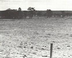 A Study of land in the catchments of the Otway Range and adjacent plains - barongarook