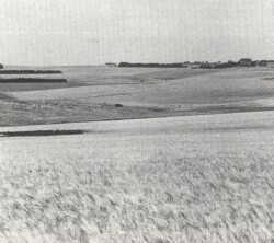 A Study of land in the catchments of the Otway Range and adjacent plains - barrabool