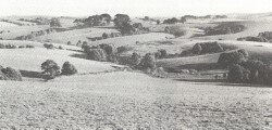 A Study of land in the catchments of the Otway Range and adjacent plains - beech forest