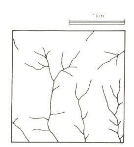 A Study of land in the catchments of the Otway Range and adjacent plains - beech forest