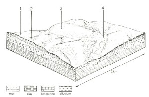 A Study of land in the catchments of the Otway Range and adjacent plains - bellbrae