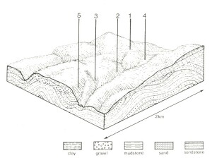 A Study of land in the catchments of the Otway Range and adjacent plains - bunker hill