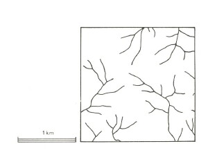 A Study of land in the catchments of the Otway Range and adjacent plains - bunker hill