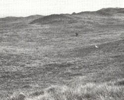A Study of land in the catchments of the Otway Range and adjacent plains - cape otway