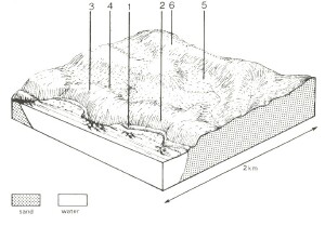 A Study of land in the catchments of the Otway Range and adjacent plains - cape otway