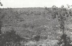 A Study of land in the catchments of the Otway Range and adjacent plains - chapple vale