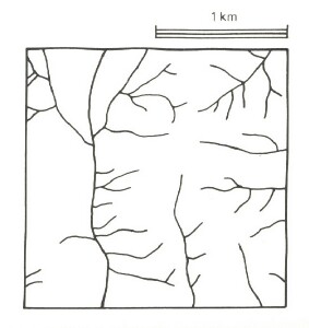 A Study of land in the catchments of the Otway Range and adjacent plains - chapple vale