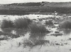 A Study of land in the catchments of the Otway Range and adjacent plains - coonewarre