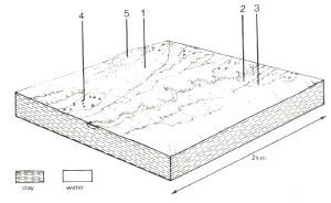 A Study of land in the catchments of the Otway Range and adjacent plains - coonewarre
