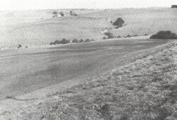A Study of land in the catchments of the Otway Range and adjacent plains - deepdene