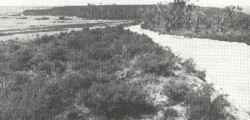 A Study of land in the catchments of the Otway Range and adjacent plains - ferguson hill