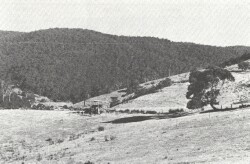 A Study of land in the catchments of the Otway Range and adjacent plains - forrest