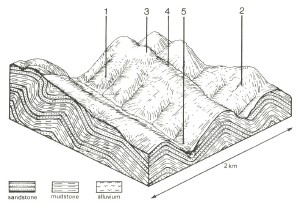 A Study of land in the catchments of the Otway Range and adjacent plains - forrest