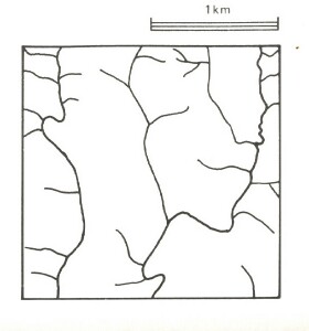 A Study of land in the catchments of the Otway Range and adjacent plains - forrest