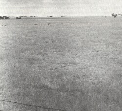 A Study of land in the catchments of the Otway Range and adjacent plains - freshwater creek