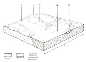 A Study of land in the catchments of the Otway Range and adjacent plains - freshwater creek